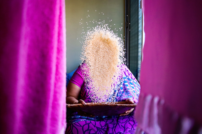 Le domeniche del Centro Natura: la cucina indiana