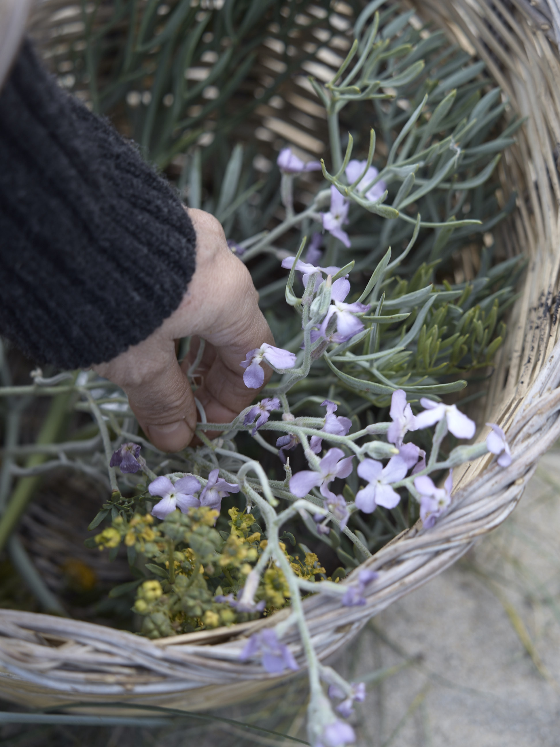 Foto ©: Fabrizio Cicconi