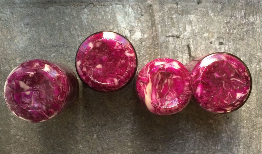 Photo Credits: Pina Siotto